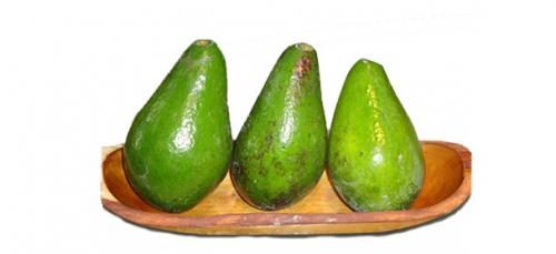 aguacate2